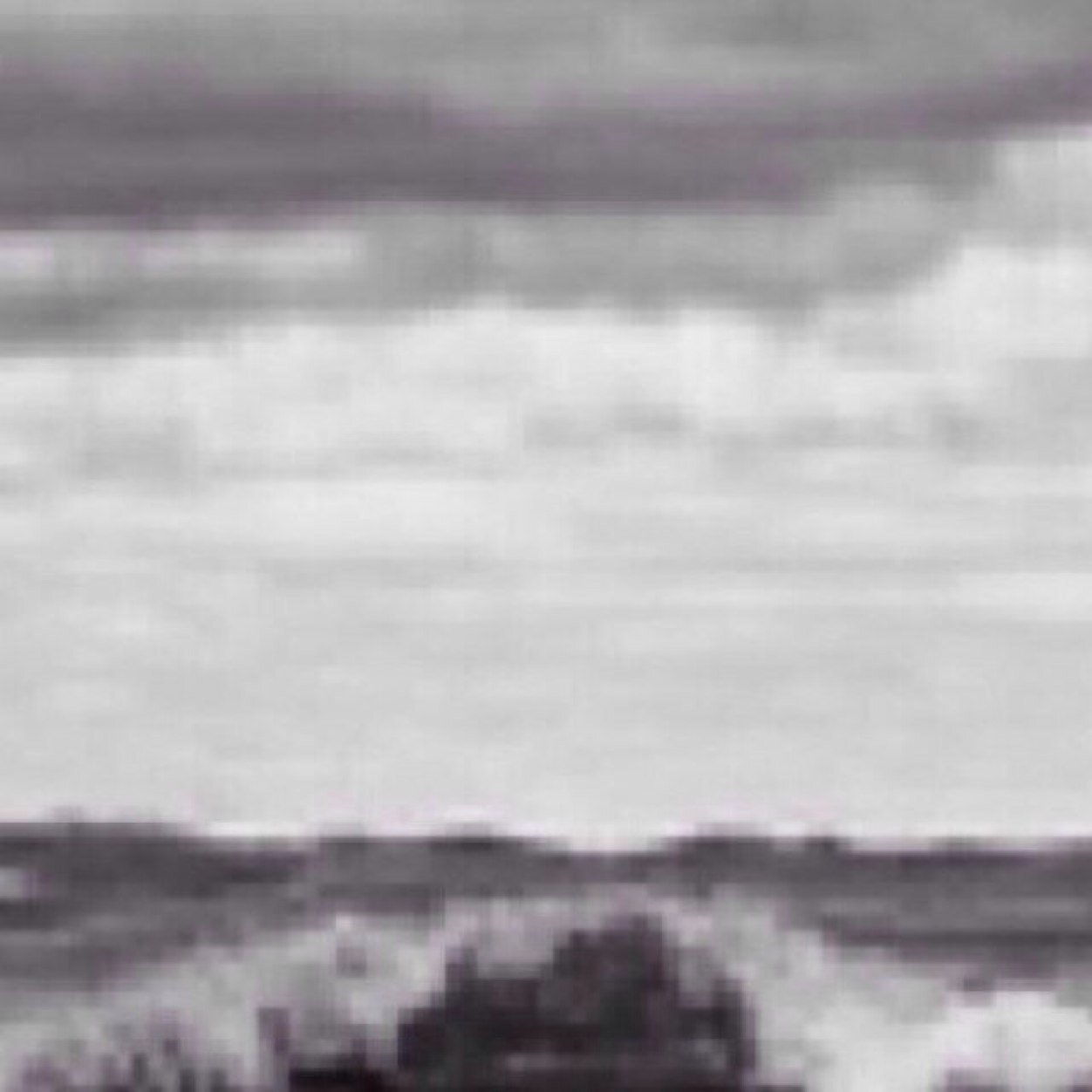 as we got older the monsters crept from under our beds to inside our heads
