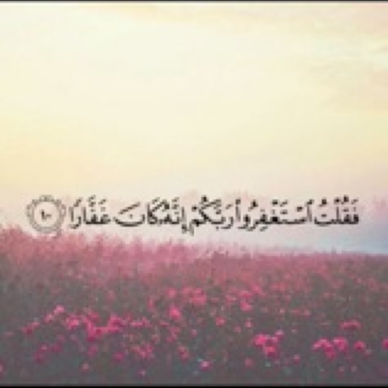 هذا الحساب صدقة جارية ل مسلم سلمي البشري الله يرحمه ويغفر له اللهم انسه في وحشته واجعل قبره روضة من رياض الجنه امين .