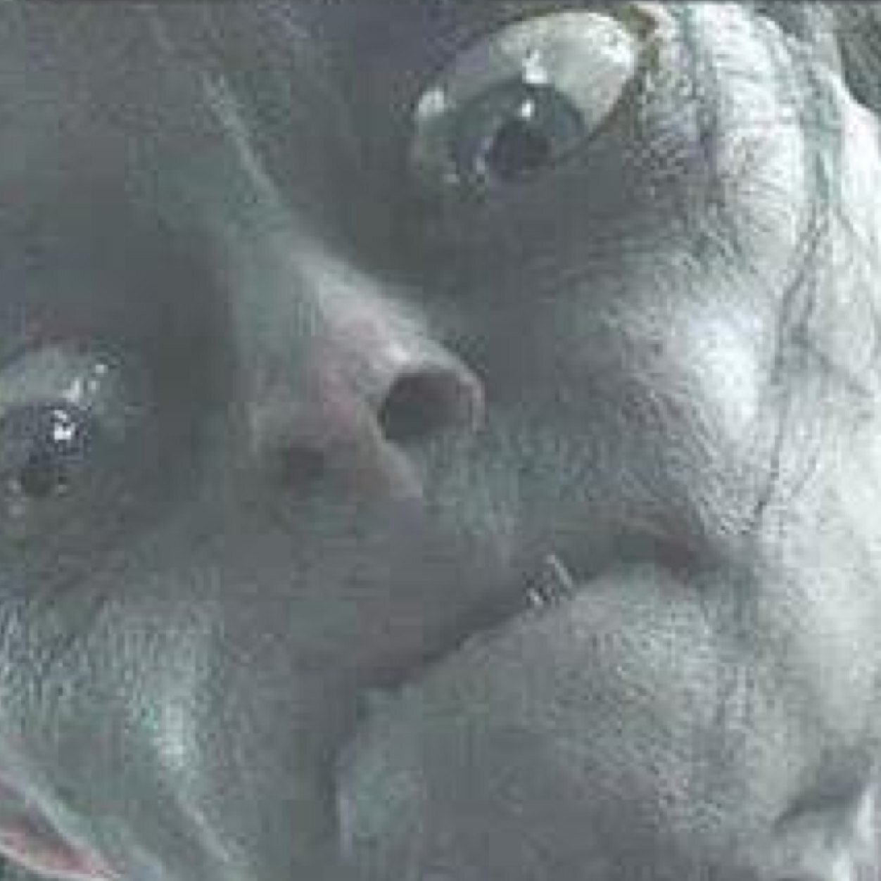 adelaller's profile picture. May the odds be in my favour bye