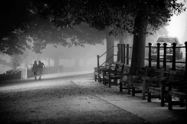 Alanzi_177's profile picture. منَ لا يعرف شخصيتي ، لا يحق له الحكم على تصرفاتي ومن لا يستطيع ان يقدرني ، لا يتوقع مني أي تقدير (عاشق الهلال منذ الصغر) أحب التميز واطمح للأفضل ،