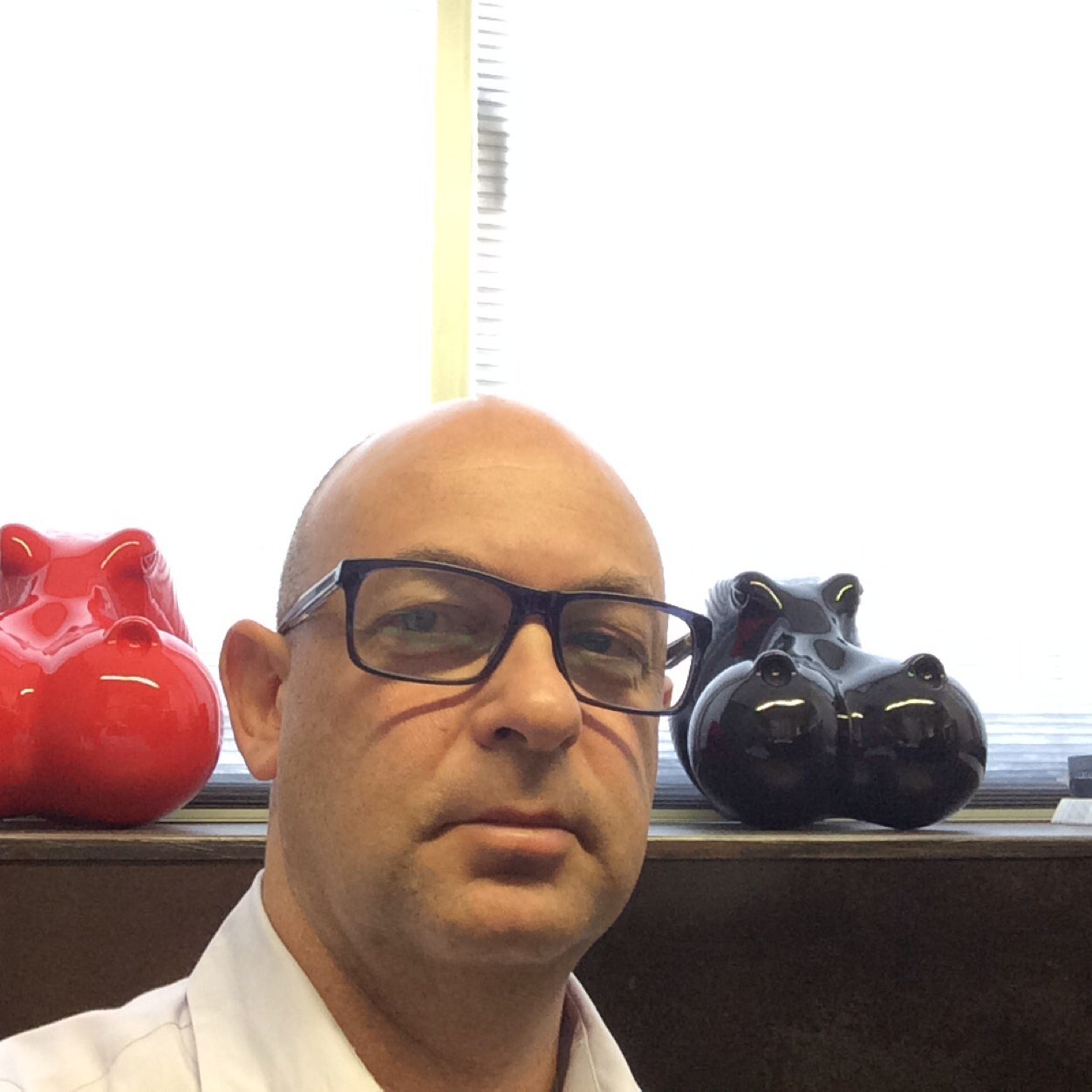 GileadTal's profile picture. 