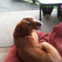 Dawn  Gunn - @dlbgunn - Twitter