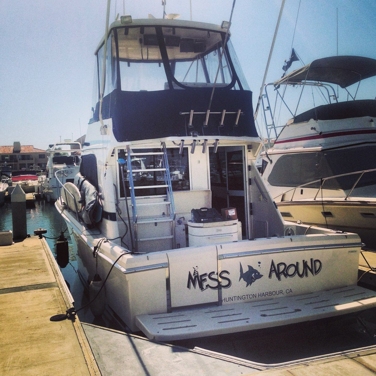 ZLehmannn's profile picture. 