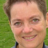 elizabeth stephens (@ebethstephens) 's Twitter Profile