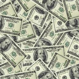 hi ~ money!  i'm home