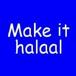 MakeitHalaal's profile picture. Everything Halaal!