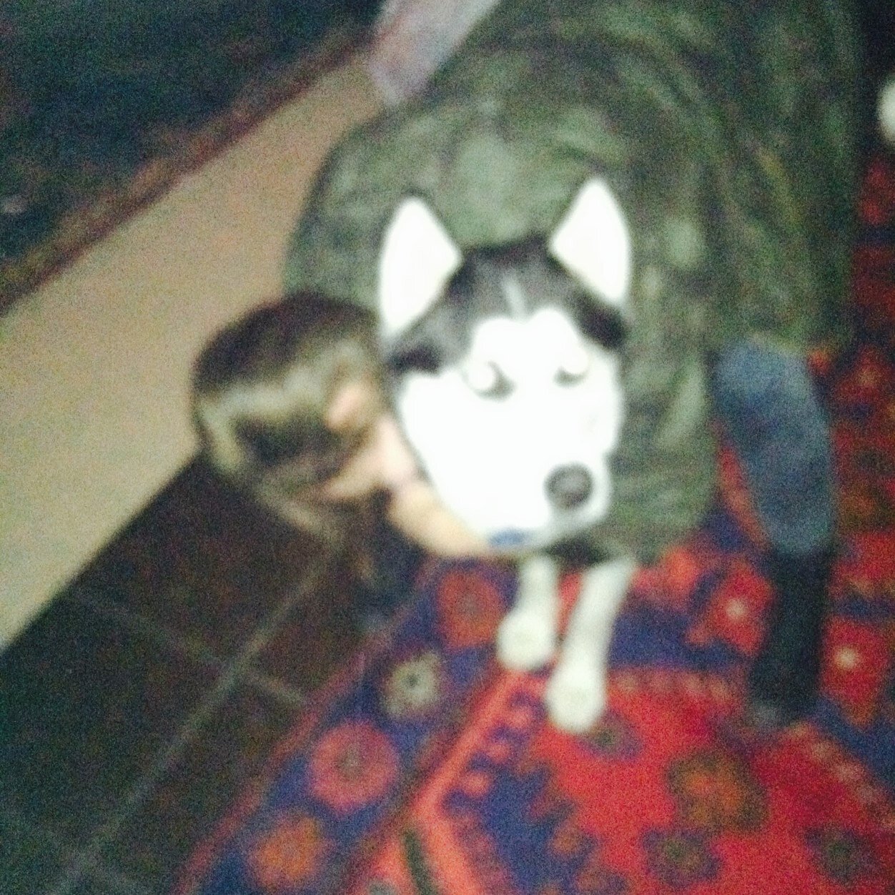 _junemarsh's profile picture. ♡