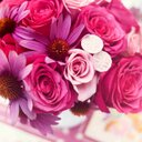 Alma Vitela - @VitelaAlma - Twitter