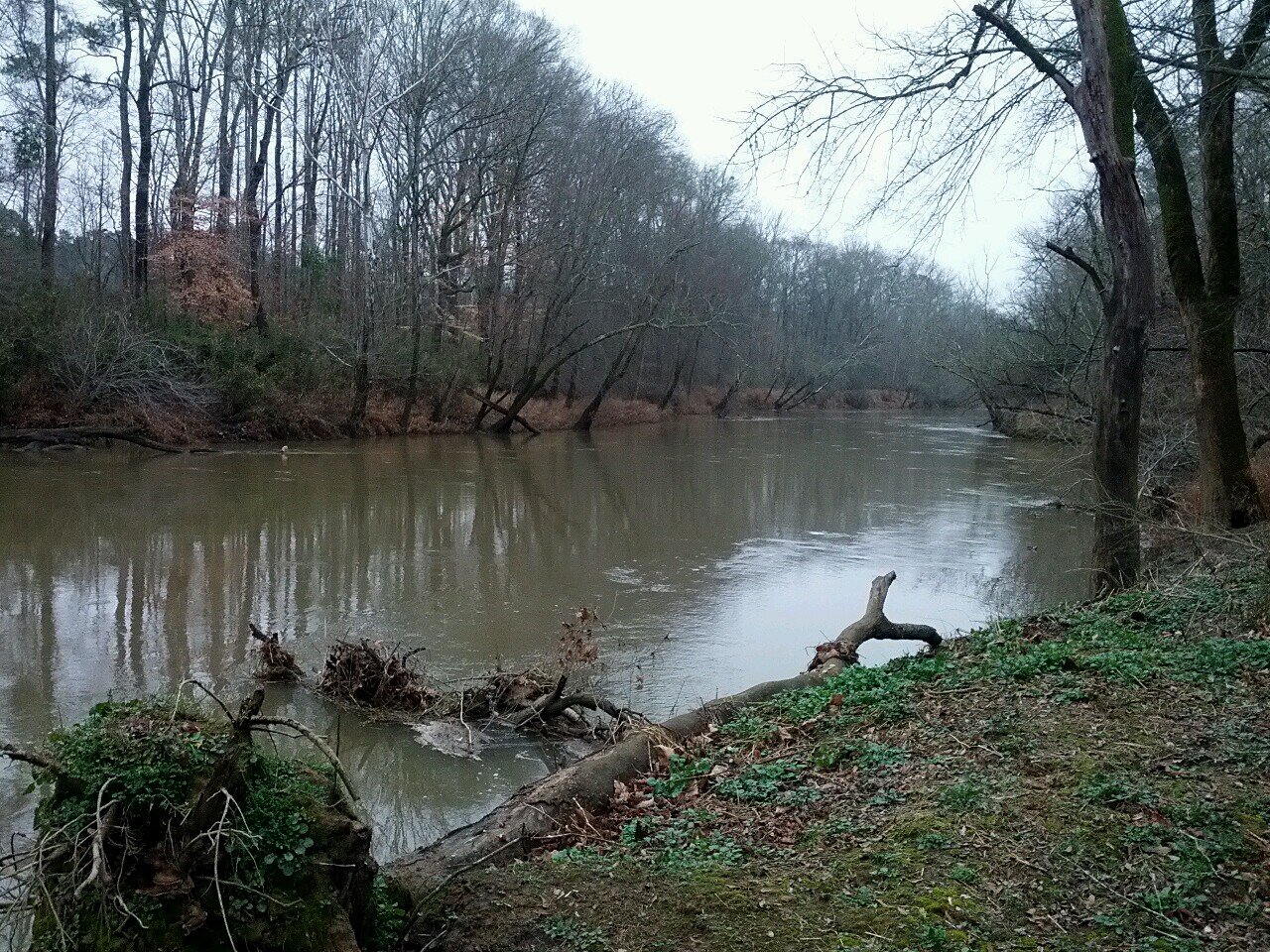 RiverbendJ's profile picture. 