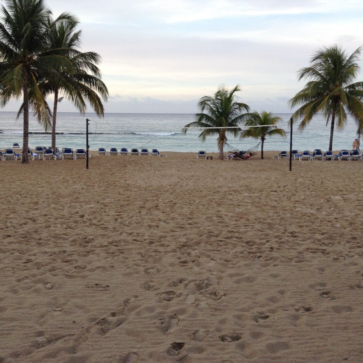 ThomasTrainer3's profile picture. 