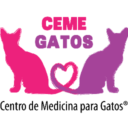 Centro médico exclusivo para gatos. CEME Gatos Del Valle: 63639935, 63639940. CEME Gatos Coyoacán: 71585838, 71582949.