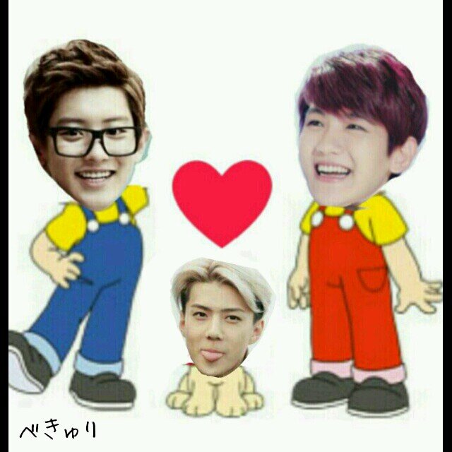 EXOのビョンくださいビョンビョンビョンビョン/SHINee子犬/SMF/Teentop/BTS/96line