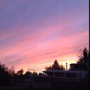 Clara Harris - @harris_clara - Twitter