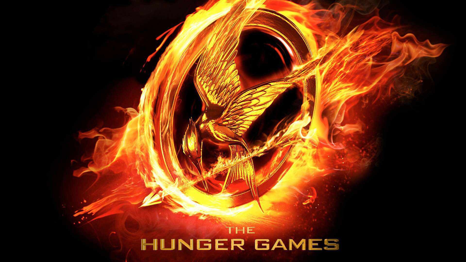 Fans of The Hunger Games ,May The Odds Be Ever In Your Favor.Enjoy with 3 admin G-J-R