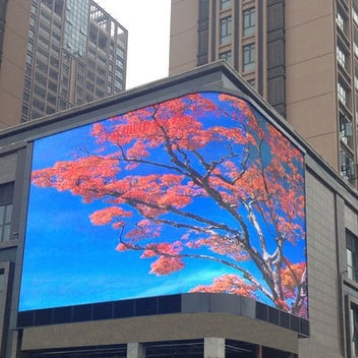 LED display indoor & outdoor