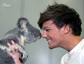 I love 1D!! Life without 1D is a disaster:D