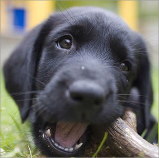 adrianaperez509's profile picture. 