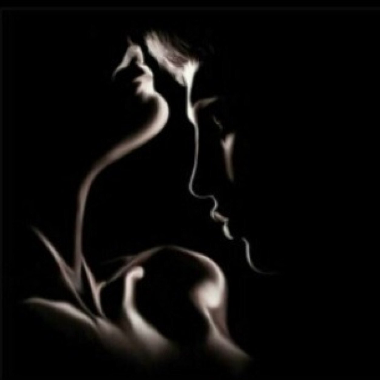 modtorki's profile picture. 