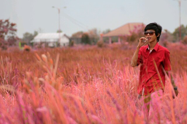 RevoCoicino's profile picture. ♥ devygasella