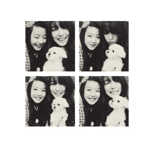 hell-o.tiffany hwang here! immaparody.