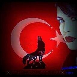 Ülkücü Hareket ENGELLENEMEZ !