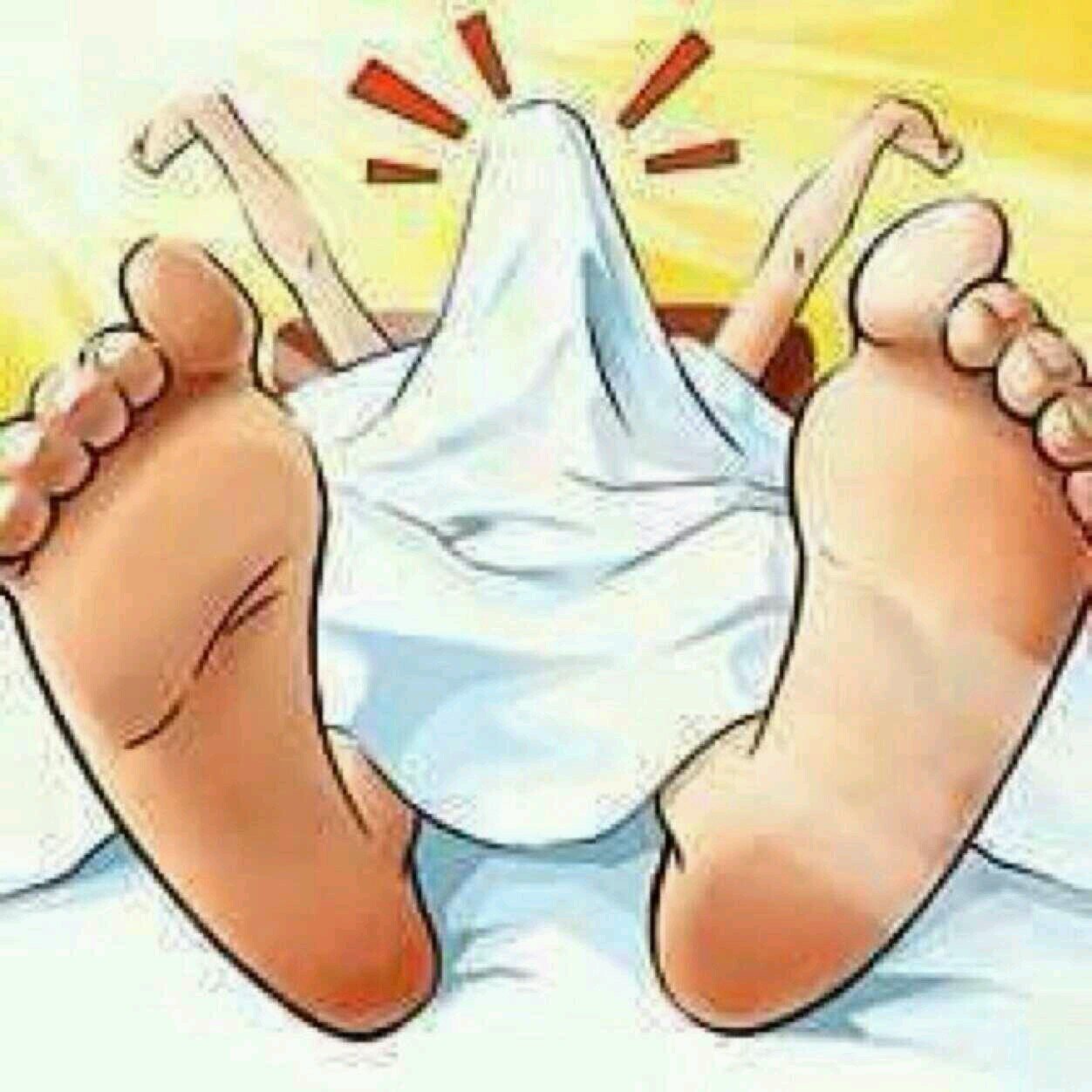 dangyellow1's profile picture. 