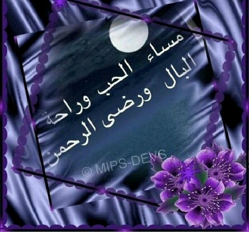 parisc242's profile picture. 