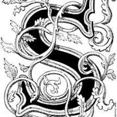 sessizligimmm's profile picture. 