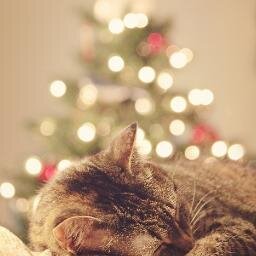 JustWhatYouLove's profile picture. 