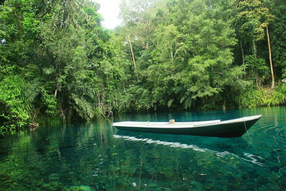 Info Wisata Kalimantan Timur | Save Nature Kaltim #SNK