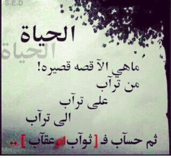 اللهم اتنا في الدنياحسنه وفي اﻷخرة حسنه وقنا عذاب النار..اللهم ا.غفرلي ولوالدي ولجميع المسلمين أﻷحياء منهم واﻷموات..