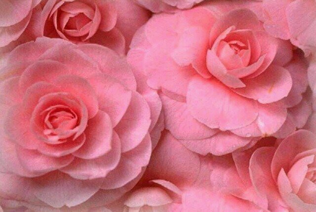 ‏اللهمَّ توفّني وأنت راضٍ عني غير غضبان....يارب حُسن الختام وطيب الأثر()