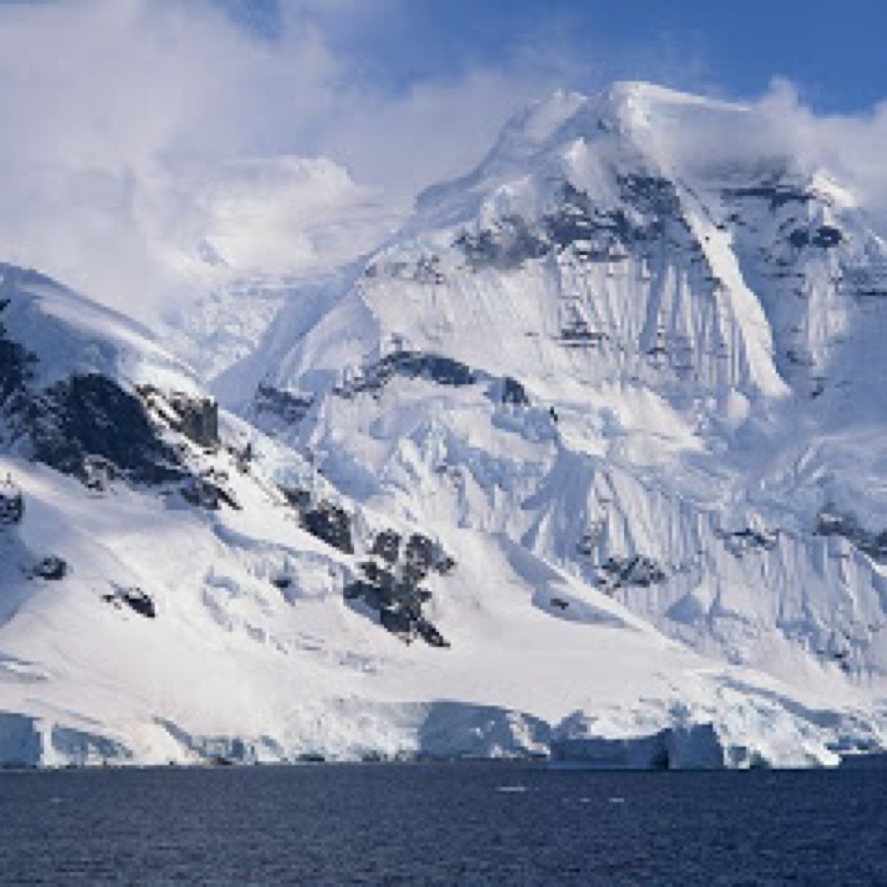 schippt's profile picture. 