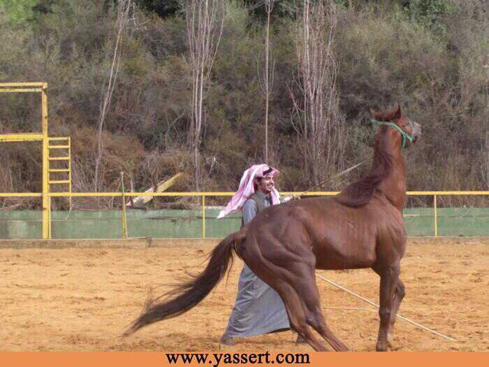 ‏‏‏‏‏♡♥♡♥♡♥♡♥♡♥استغفر الله          .........                  kik  oosamh33اتشرف