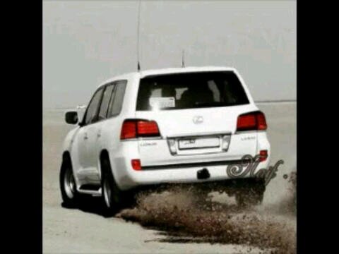 اخر حكايات الولہ .. ليتک معي ♡