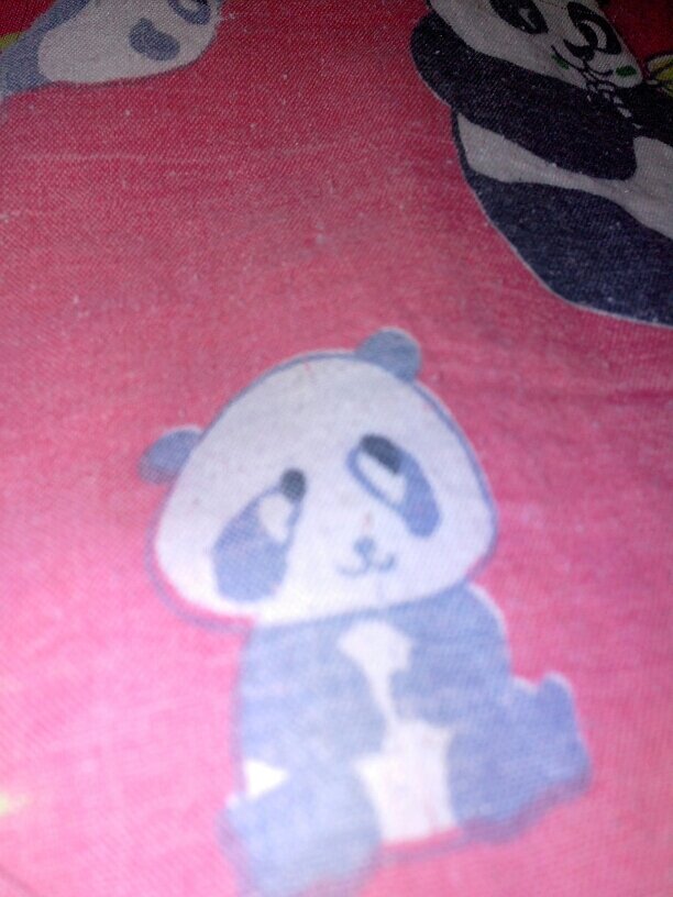 soslab30's profile picture. 