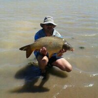 Henk Louw (@henklouw2) 's Twitter Profile