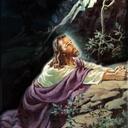 Dawn Propst - @lavell1965 - Twitter