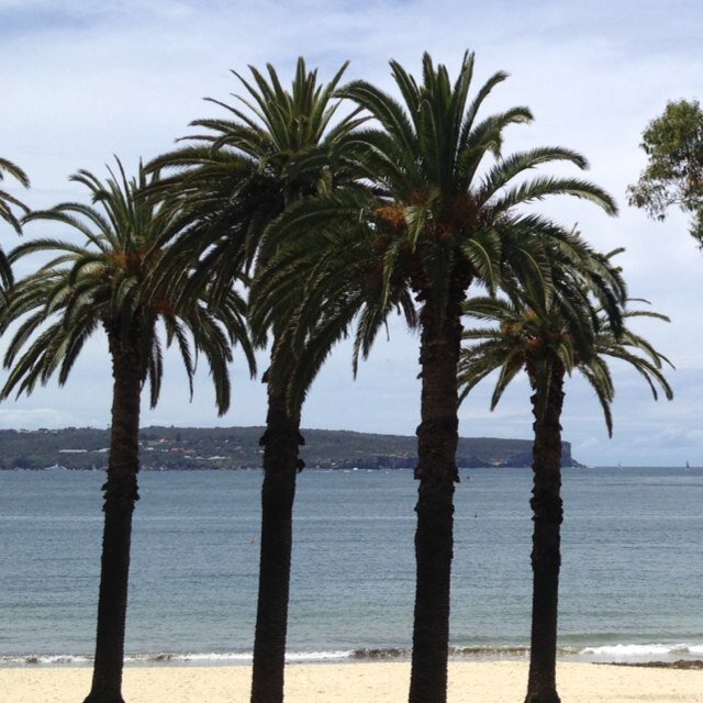 mlc1980's profile picture. 