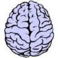 BNS Neuropathology (@bns_updates) 's Twitter Profile Photo BNS Neuropathology (@bns_updates) 's Twitter Profile Photo