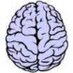 BNS Neuropathology (@bns_updates) Twitter profile photo BNS Neuropathology (@bns_updates) Twitter profile photo