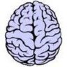 BNS_updates's profile picture. The professional society for neuropathology in the UK