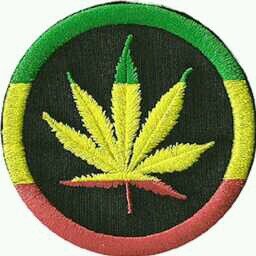 StayStonded's profile picture. Light it up spark that shit hit that shit enjoy that shit