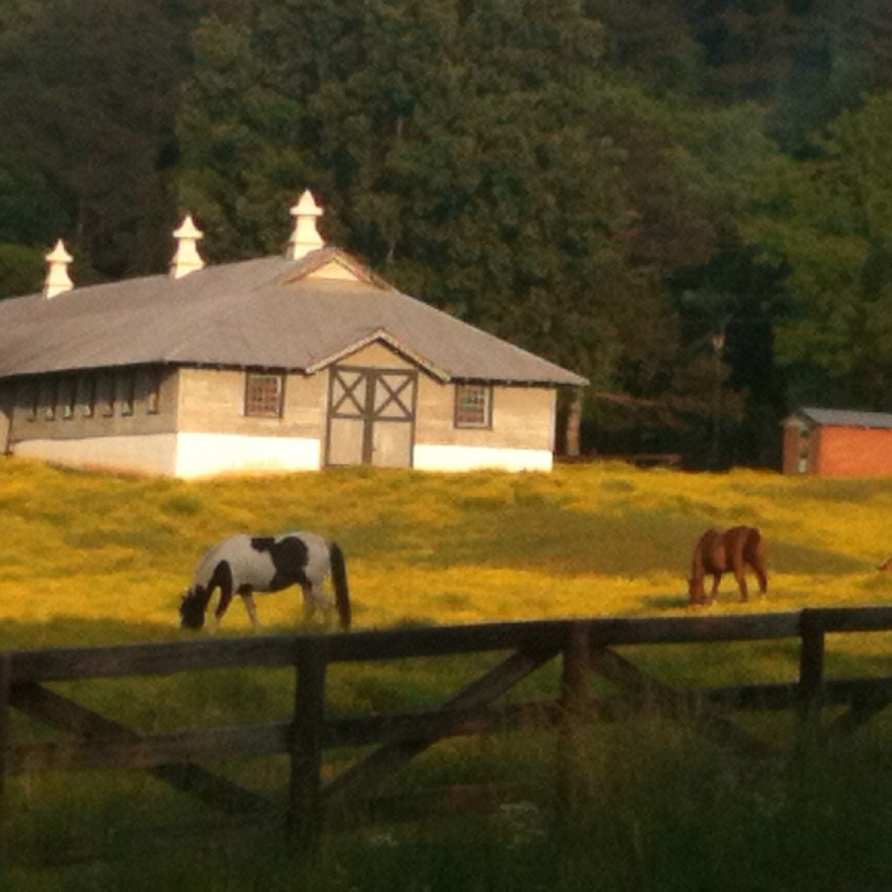 AlanJudgedak's profile picture. 