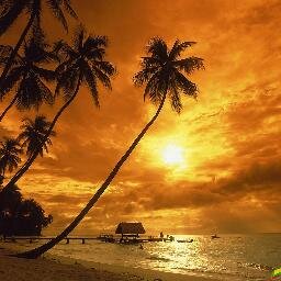 WEBEXPERTS_CHD's profile picture. 