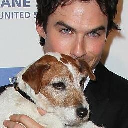 Ianswifeyxo's profile picture. TVD IS MY LIFE, AN ANGEL WAS BROUGHT TO EARTH ON -DECEMBER 8 1978- MY INSPIRATION @iansomerhalder SUPPORTING @IS_FOUNDATION @BSOME xo