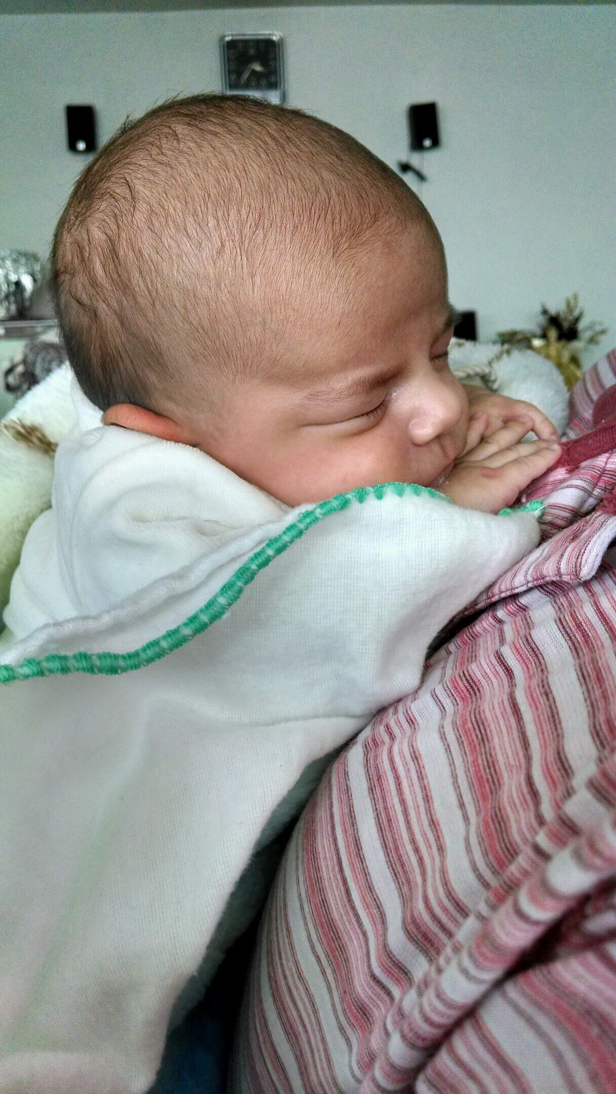 DCamachi's profile picture. 