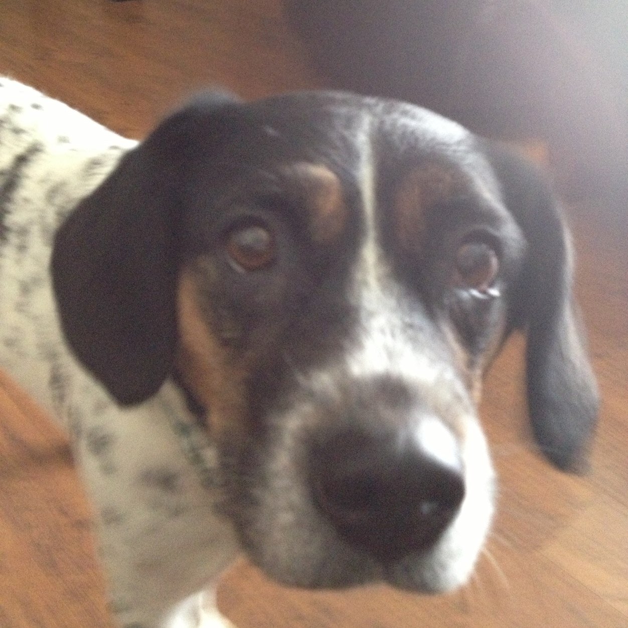 danserm18's profile picture. 