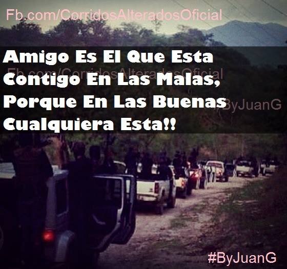 PumasChv's profile picture. 