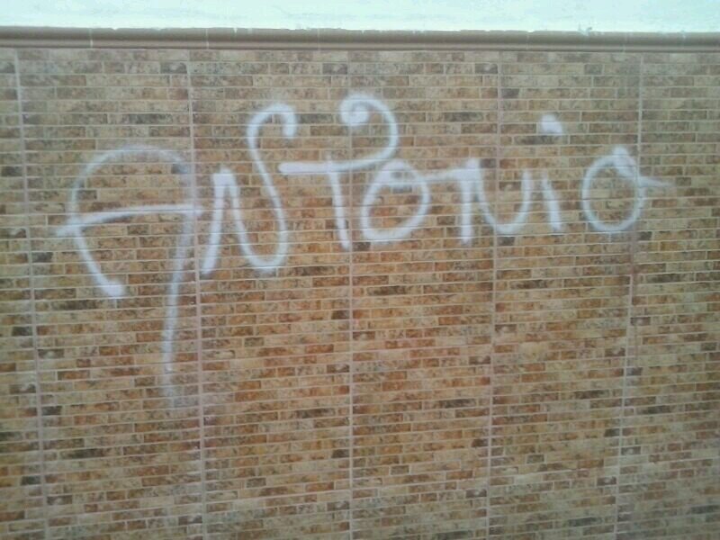 pasodeti1's profile picture. A la persona que mas quiero es a ................................................................................................Tania Frias Gonzales